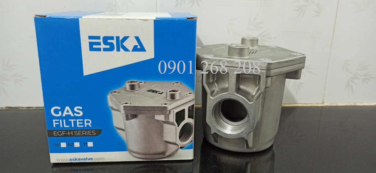 GAS FILTER DN25